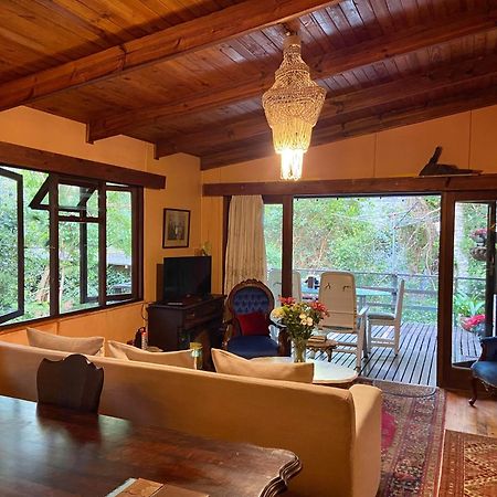 Nature'S Valley Health Retreat A Hide Away In The Forest 外观 照片