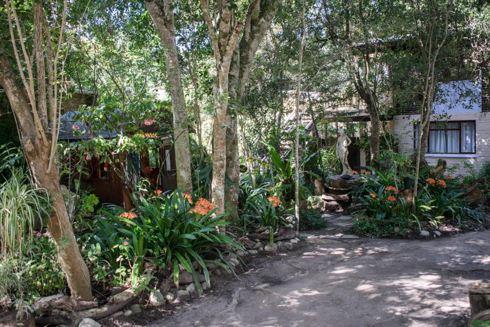 Nature'S Valley Health Retreat A Hide Away In The Forest 外观 照片
