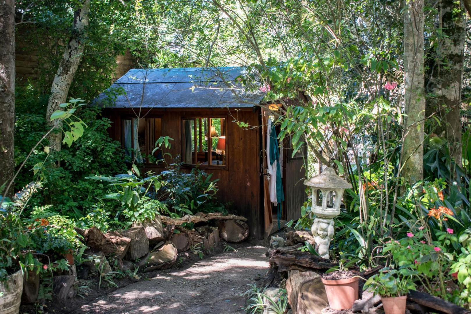 Nature'S Valley Health Retreat A Hide Away In The Forest 外观 照片