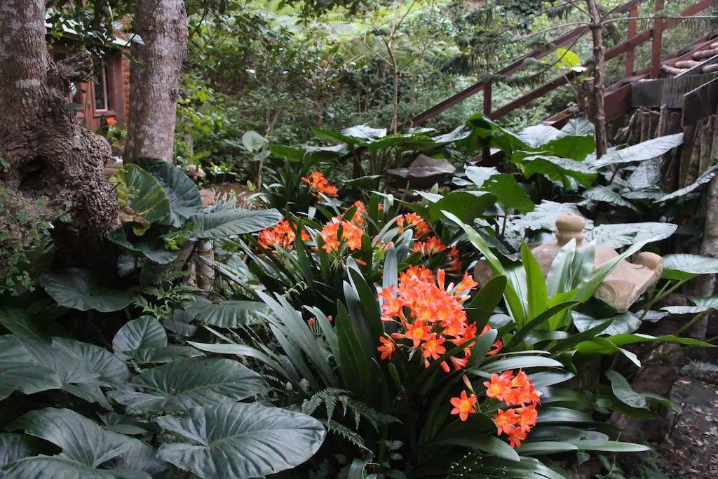 Nature'S Valley Health Retreat A Hide Away In The Forest 外观 照片