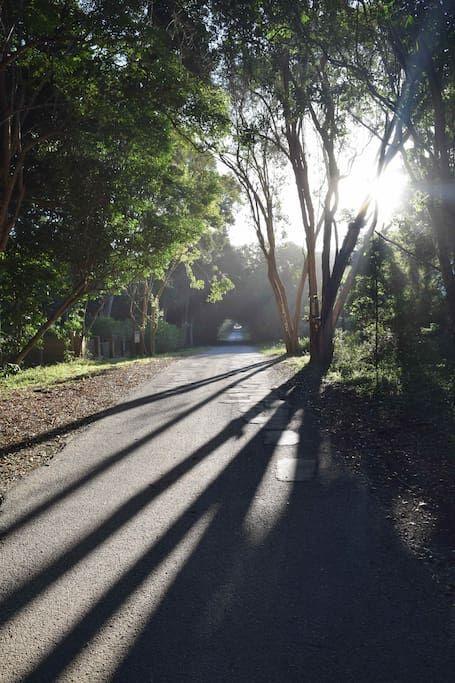Nature'S Valley Health Retreat A Hide Away In The Forest 外观 照片